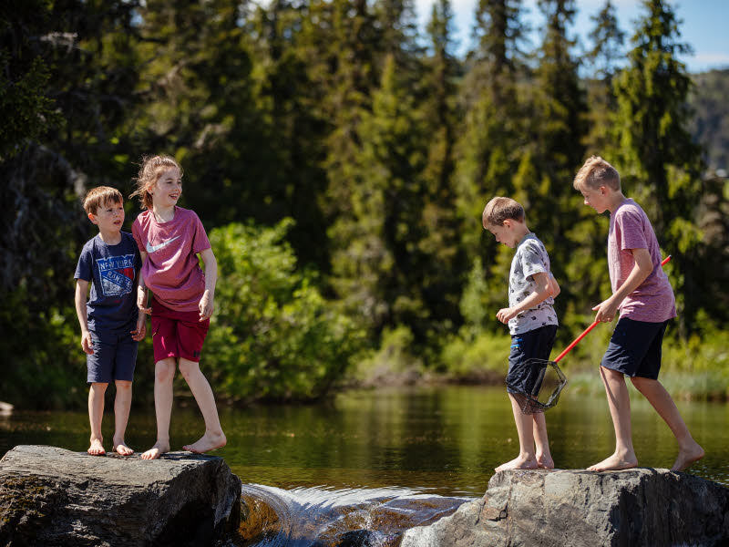 S4 Paradis | Fjellturer | Skeikampen