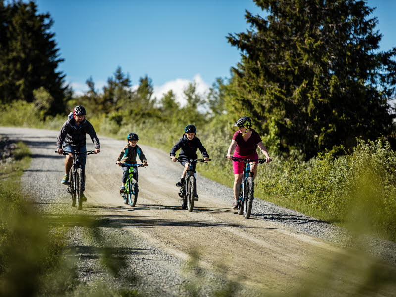 Olstadrunden | Setersykling | Skeikampen