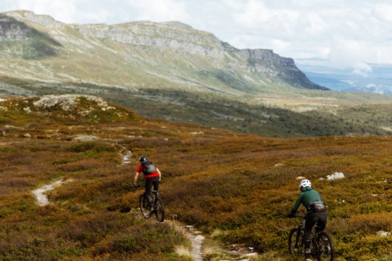 Two people standing on a peak with bicycles