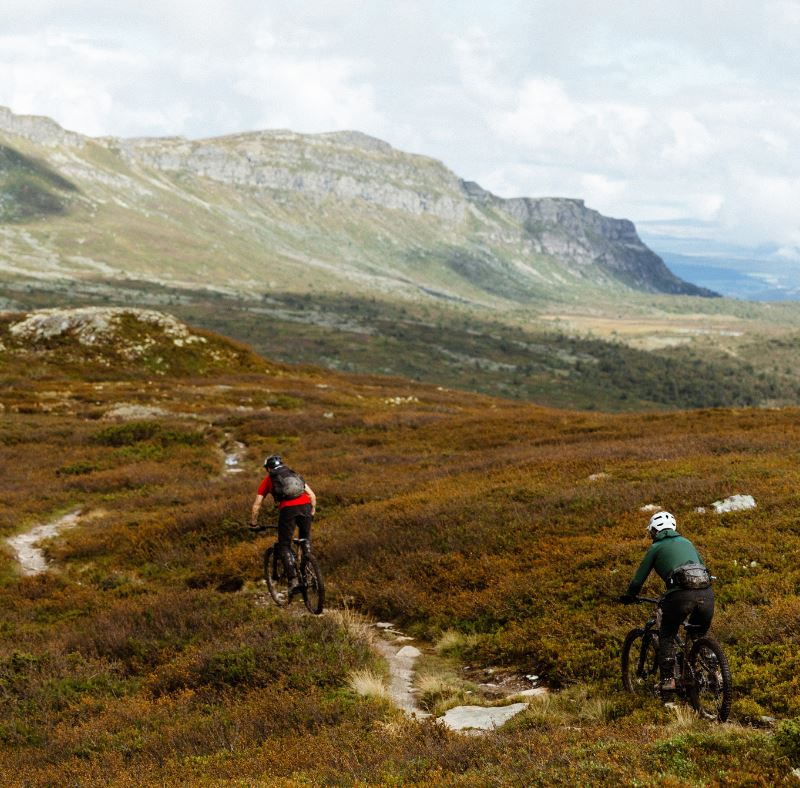 Two people standing on a peak with bicycles