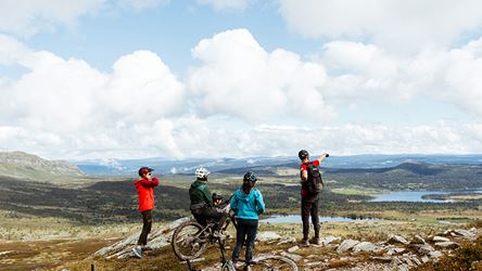 Four cyclists standing on a peak and looking out