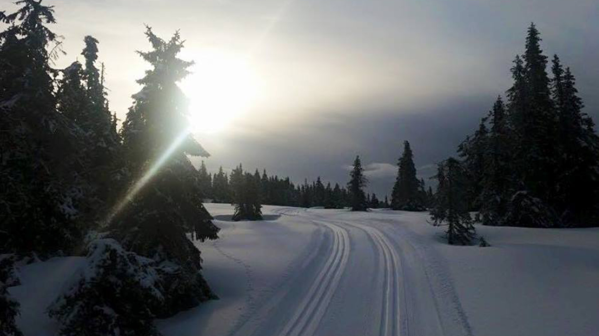 Gammelsetra - Bjørgarunden | Turforslag langrenn | Skeikampen