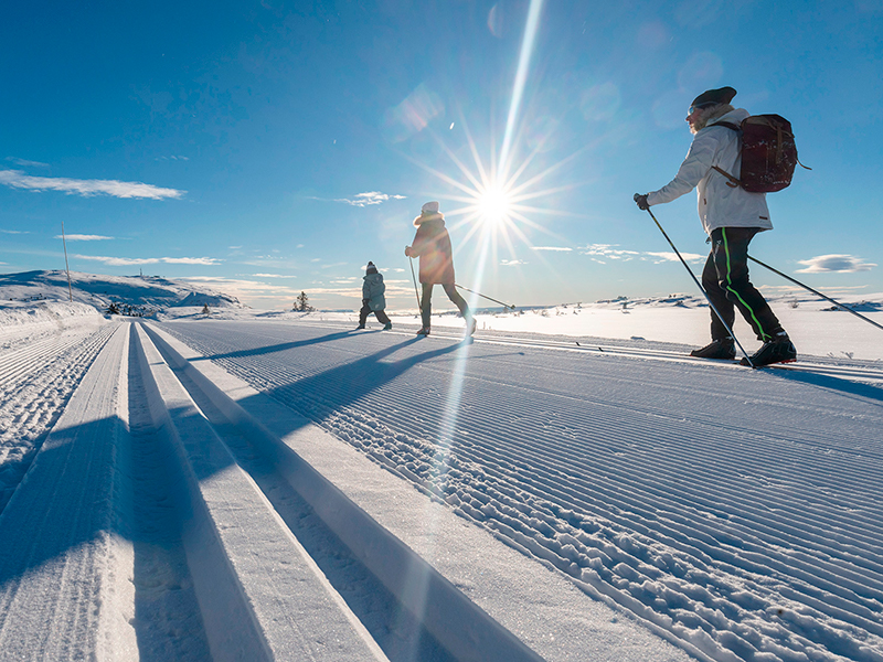 Skeikampen rundt | Turforslag langrenn | Skeikampen