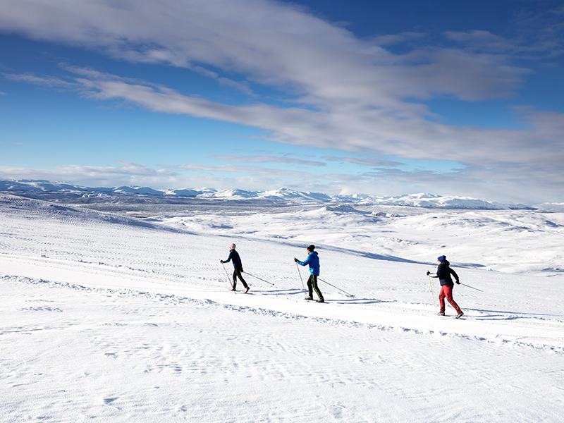 Skiskole | Privatundervisning | Skeikampen